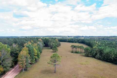 FORREST ROAD, HOGANSVILLE, GA 30230