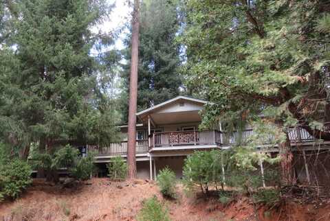 16534 Silver Pine Road, Pioneer, CA 95666