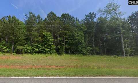 TBD Old Whitmire Highway, Newberry, SC 29108