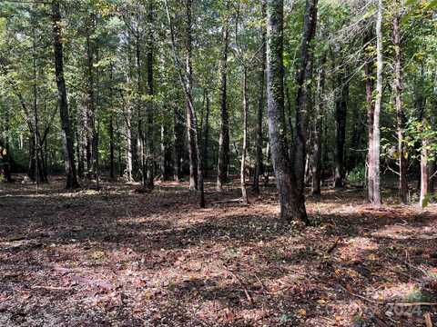 00 Hawkins Creek Road, Hendersonville, NC 28791