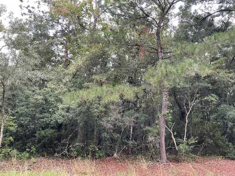 Lot B Indigo Hill Road, Edisto Island, SC 29438