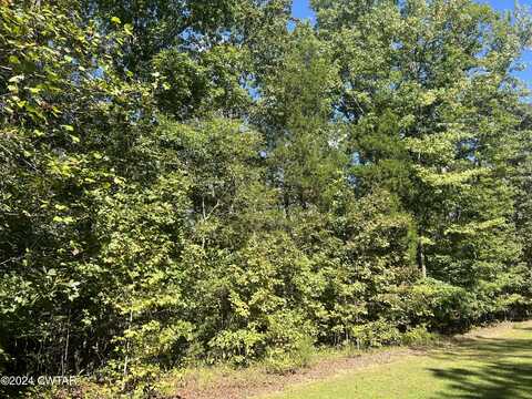 121 Bigysmal (Lot 4), Cedar Grove, TN 38321