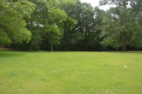 Lot 12 Highway 87, Troy, AL 36079