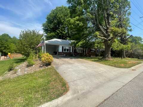 314 TERRY AVE, Danville, VA 24540