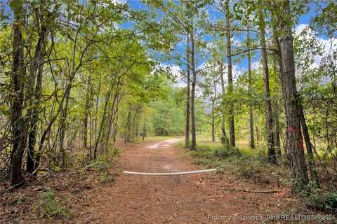 2a MCKOY TOWN Road, Cameron, NC 28326