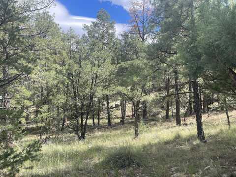 9.36 Acres END OF HOP CANYON, Magdalena, NM 87825