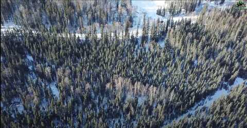 NHN WHISTLING SWAN, Fairbanks, AK 99712