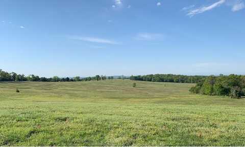 002 Tbd Lazy Acres Road, Protem, MO 65733