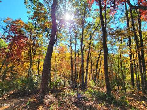 Lot # 54 Riversong Ridge Way, Sevierville, TN 37876