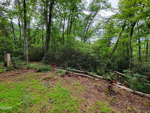 Lot # 54 Riversong Ridge Way, Sevierville, TN 37876