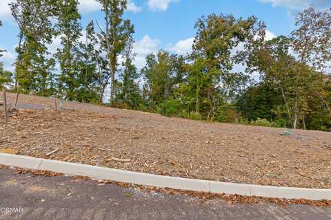 Lot 62 Reedmont Way, Sevierville, TN 37876