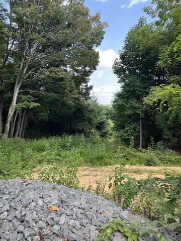 Lot 1 Ellison Ridge Rd, Jumping Branch, WV 25969