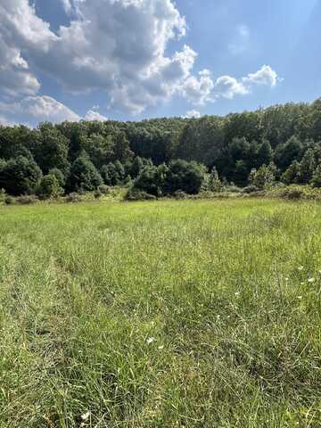 Lot 2 Ellison Ridge Rd, Jumping Branch, WV 25969