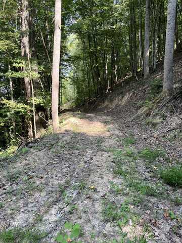 Lot 3 Ellison Ridge Rd, Jumping Branch, WV 25969