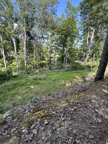 Lot 4 Ellison Ridge Rd, Jumping Branch, WV 25969