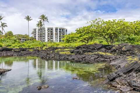 1911 KALANIANAOLE, HILO, HI 96720