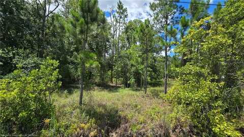 2355 Hammock Road, Sebring, FL 33872