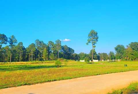 Southern Pines Lot 25, Hallsville, TX 75650