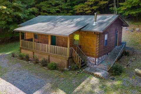 8106 Rich Patch 616 Rd, Covington, VA 24426