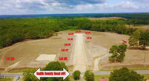 Lot 4 Smith County Road #51, Mize, MS 39116