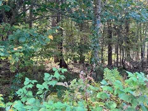 Lot 2 Back Ridge Road, Orland, ME 04472