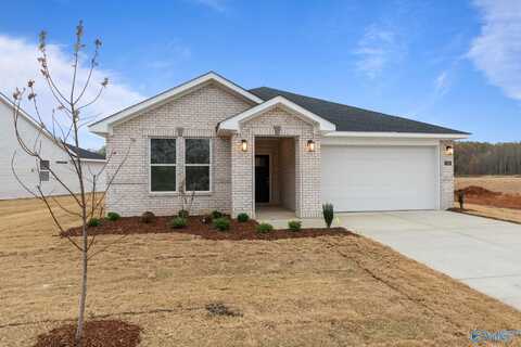 203 Sunhill Court, Harvest, AL 35749