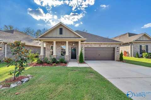 15759 Mizewell Lane, Harvest, AL 35749