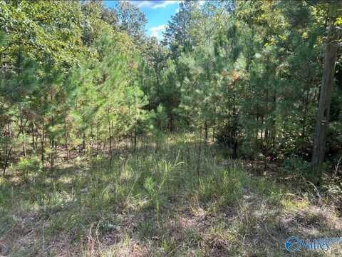 276 Siler Road, Piedmont, AL 36272