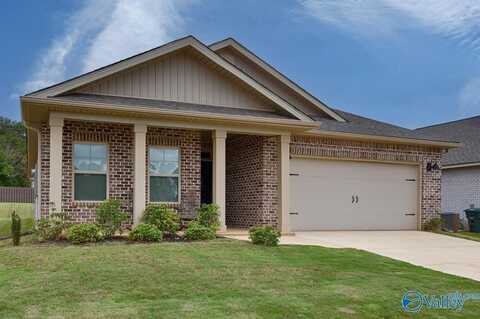 28299 Saddle Springs Drive, Madison, AL 35756