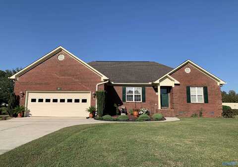 87 Heidelberg Lane, Arab, AL 35016