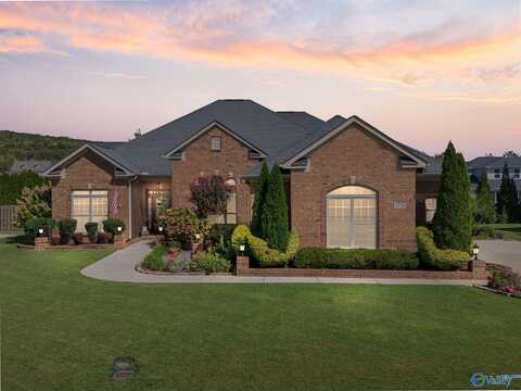 2725 Natures Trail SE, Owens Cross Roads, AL 35763