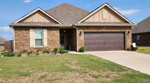 17195 Fieldway Circle, Harvest, AL 35749