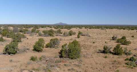 515 N Wyandotte Road, Williams, AZ 86046