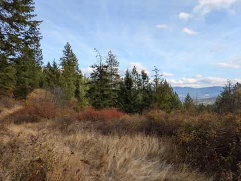 1080 XX MIDDLE BASIN RD, COLVILLE, WA 99114