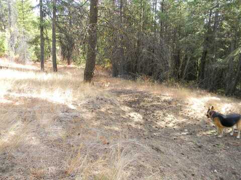 1080 X MIDDLE BASIN RD, COLVILLE, WA 99114