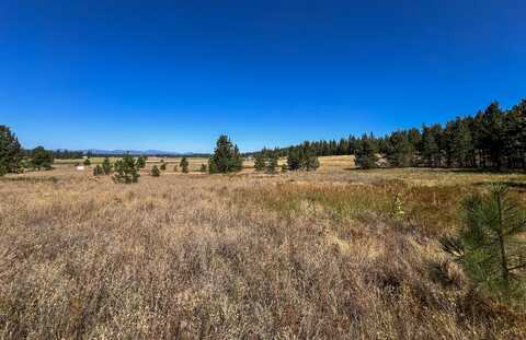 52XX LOT 2 SWENSON RD, DEER PARK, WA 99006