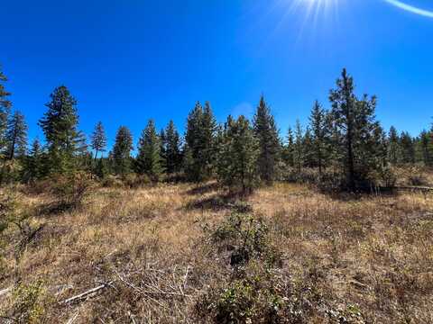 52XX LOT 3 SWENSON RD, DEER PARK, WA 99006