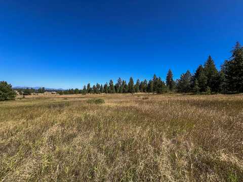 52XX LOT 4 SWENSON RD, DEER PARK, WA 99006