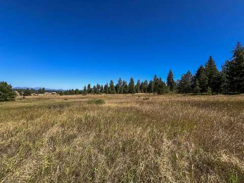 52XX LOT 4 SWENSON RD, DEER PARK, WA 99006