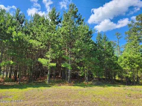 0 Nc 118, Grifton, NC 28530