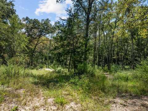 24751 County Road 460, Grand Saline, TX 75140