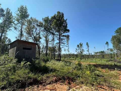 1 Highway 790, Ackerman, MS 39735