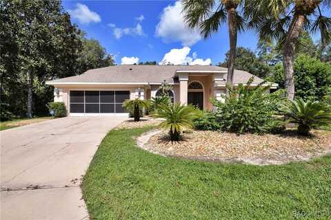 11 Nicotiana Court, Homosassa, FL 34446