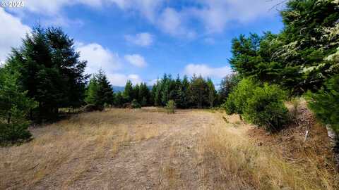 Laurel Butte DR, Oakridge, OR 97463