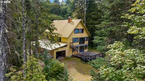 WILDERNESS DR, Cougar, WA 98616