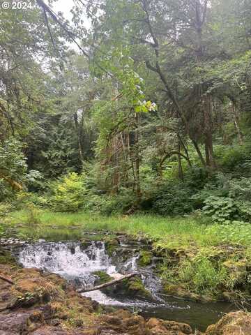 Beaver Falls RD, Clatskanie, OR 97016