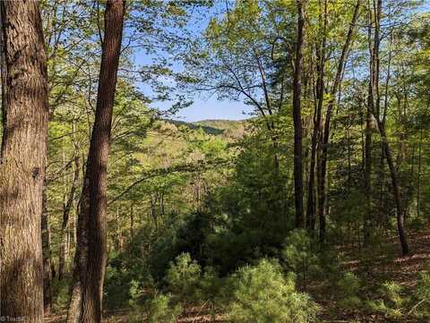 Tbd Sutters Ridge Road, Mc Grady, NC 28649