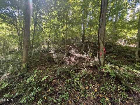 Tbd Gate Hollow Road, Mountain City, TN 37683