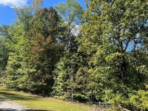 121 Bigysmal LN (Lot 4), CEDAR GROVE, TN 38321