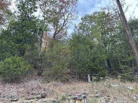 Beaver DR, Holiday Island, AR 72631